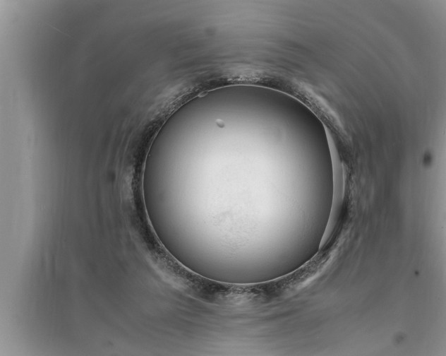 X0000095520209200712211310