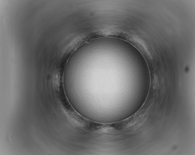 X0000095520210200712211310