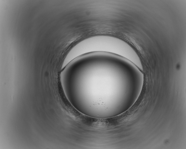 X0000095520211200712211310