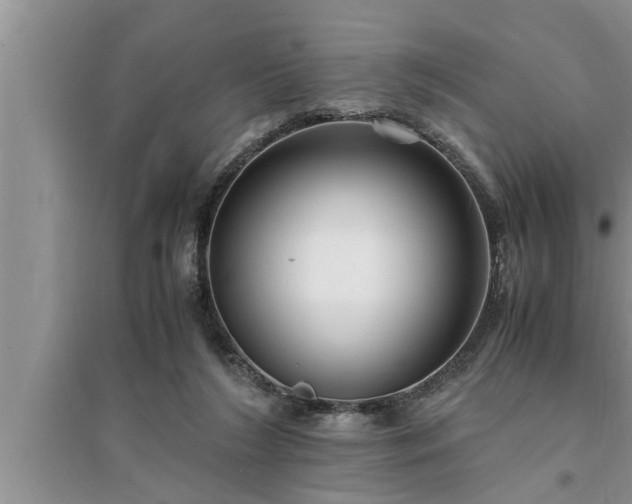 X0000095520212200712211310