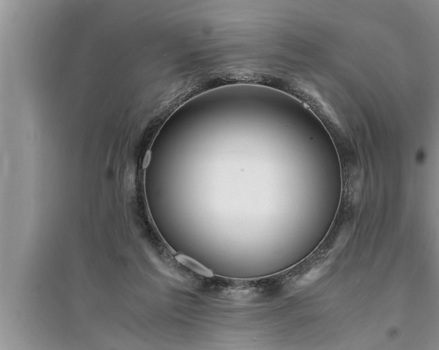 X0000095520213200712211310