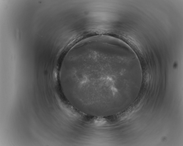 X0000095520214200712211310