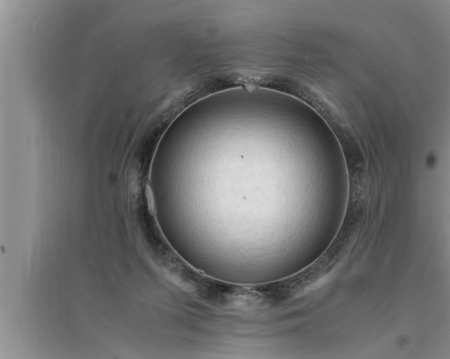 X0000095520215200712211310