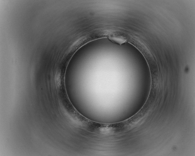 X0000095520216200712211310