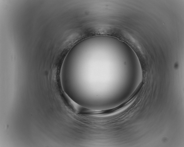 X0000095520217200712211310