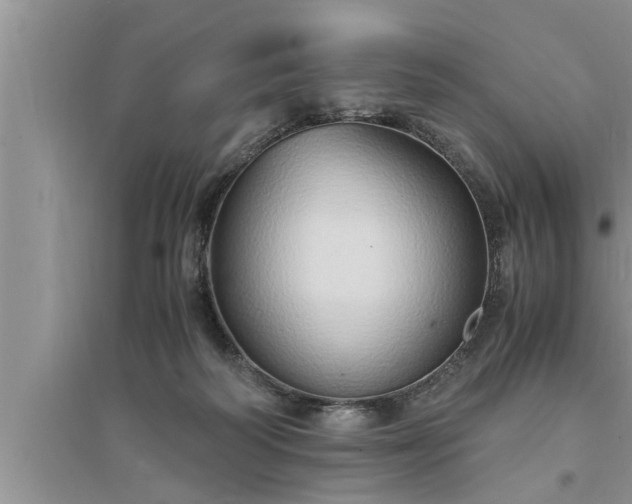 X0000095520218200712211310