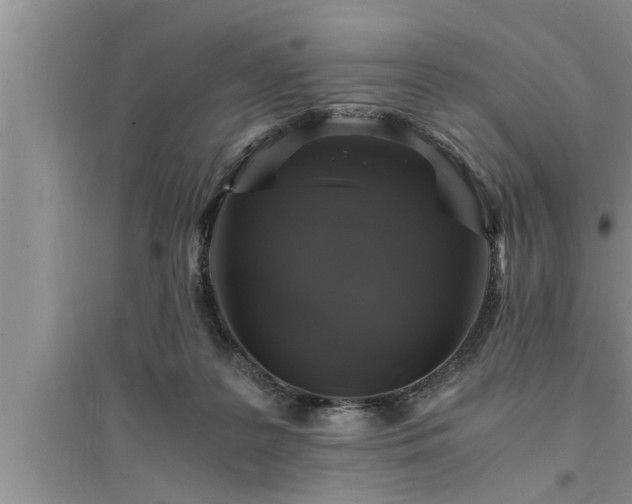 X0000095520219200712211310