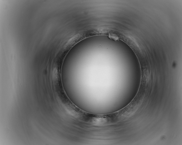 X0000095520220200712211310