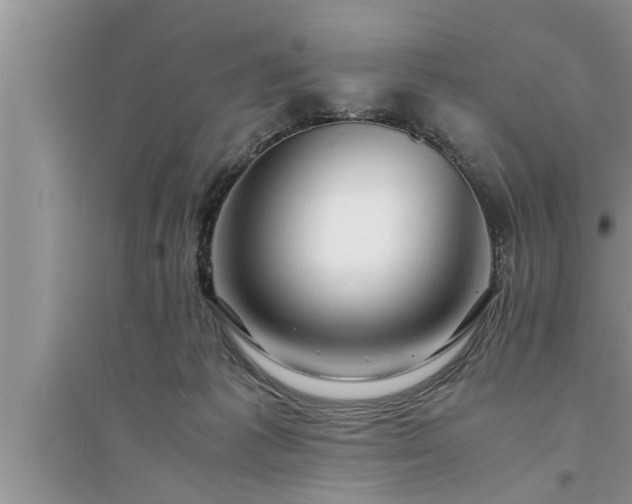 X0000095520221200712211310