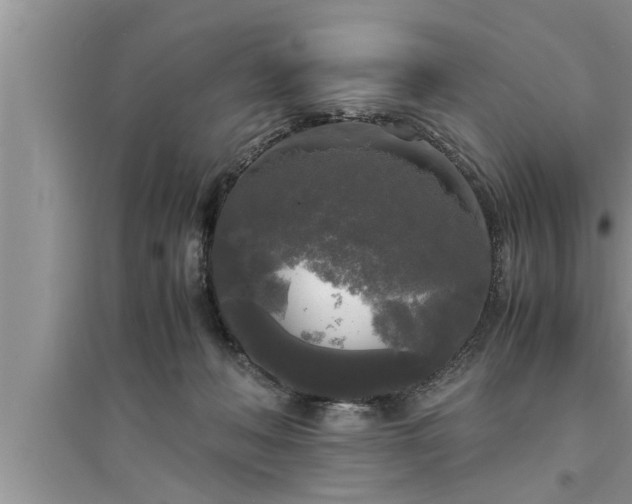 X0000095520222200712211310