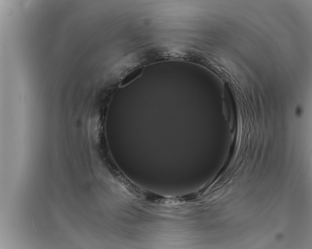 X0000095520223200712211310