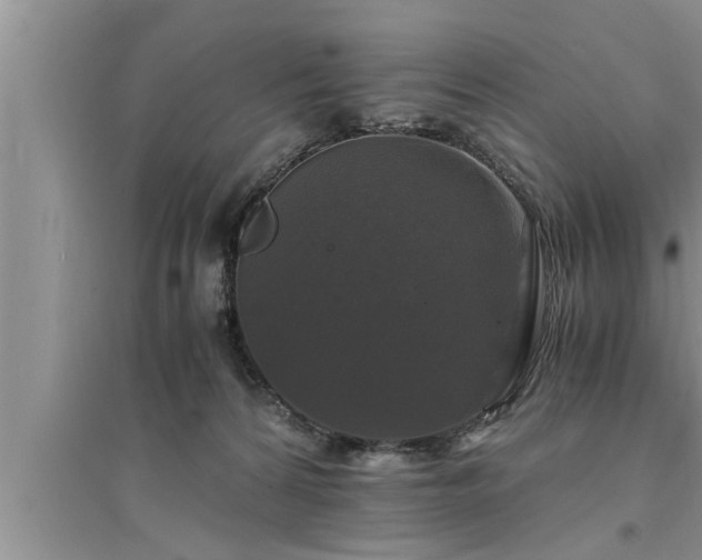 X0000095520224200712211310