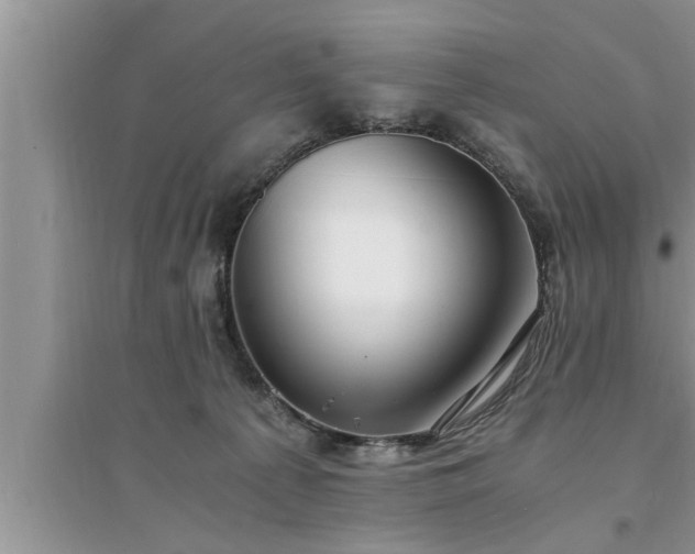 X0000095520225200712211310