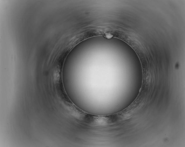 X0000095520226200712211310