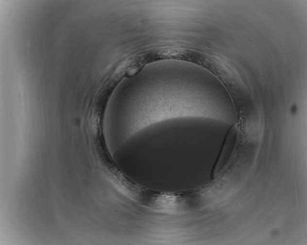 X0000095520227200712211310