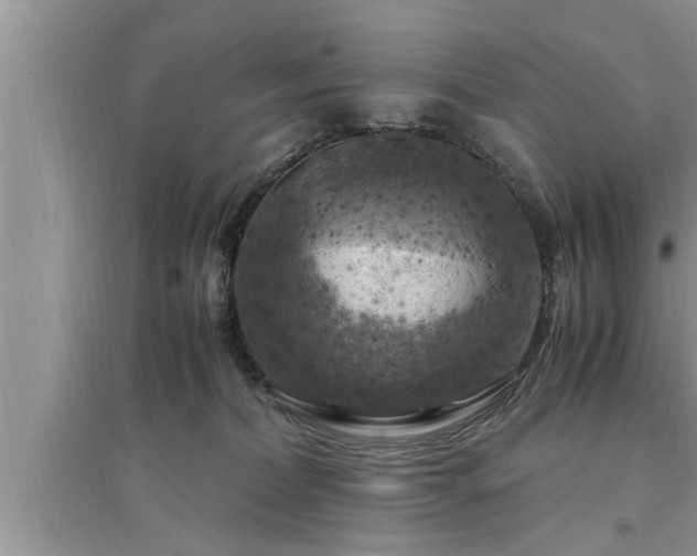 X0000095520228200712211310