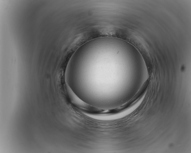 X0000095520229200712211310