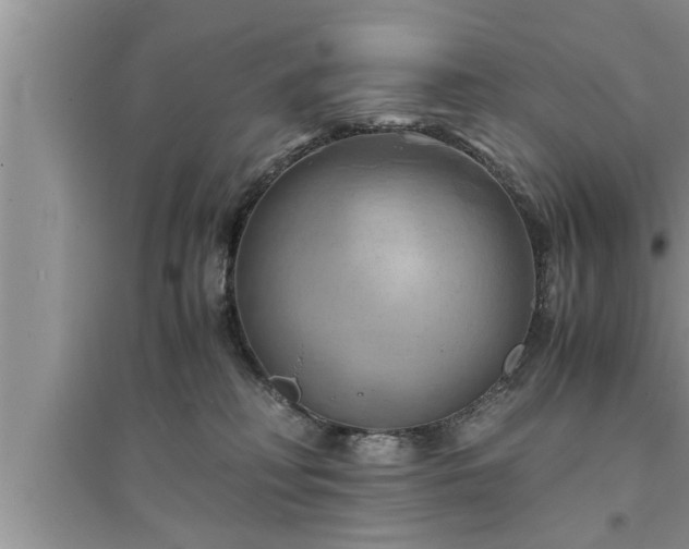 X0000095520230200712211310