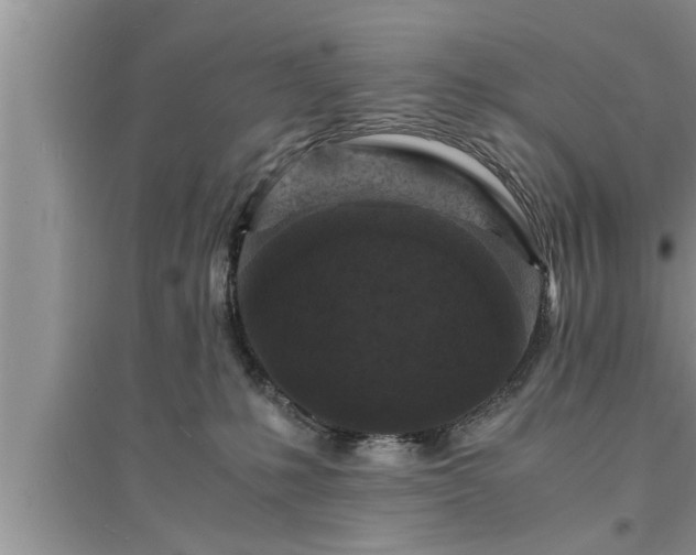 X0000095520231200712211310