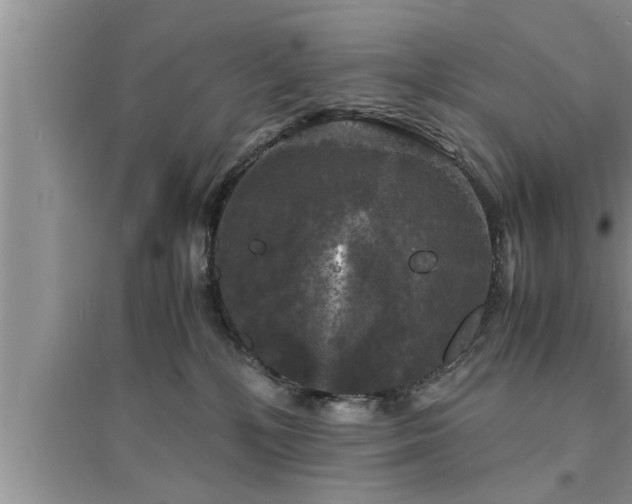 X0000095520232200712211310