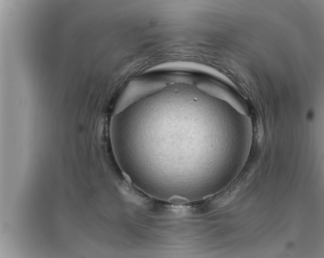 X0000095520233200712211310