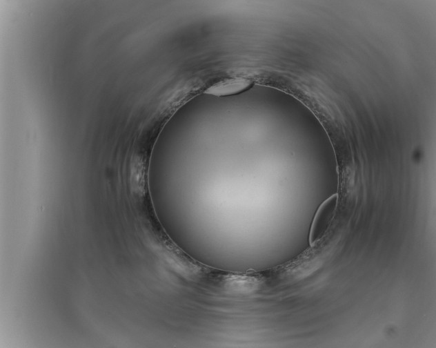 X0000095520234200712211310