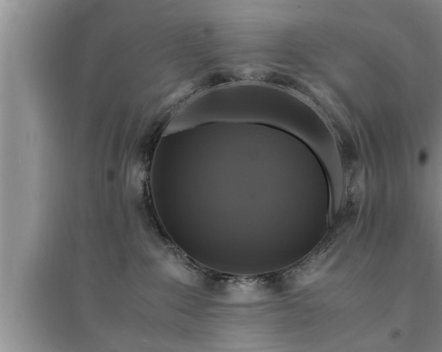 X0000095520235200712211310