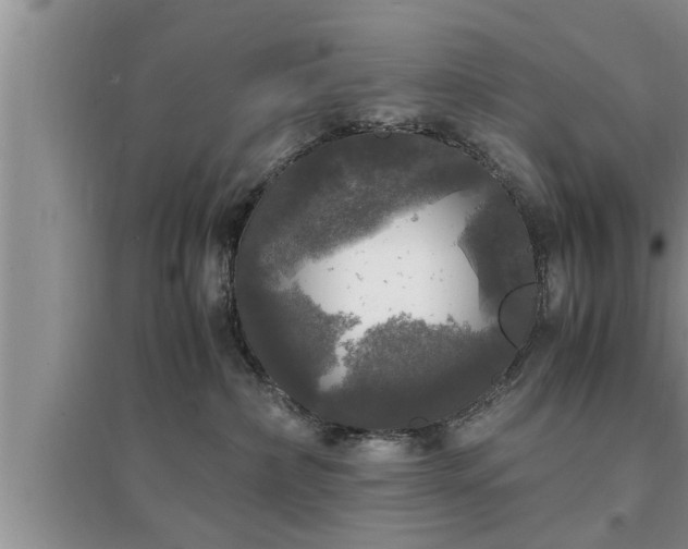 X0000095520236200712211310