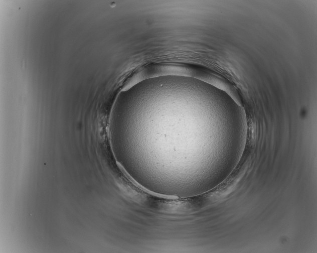 X0000095520237200712211310