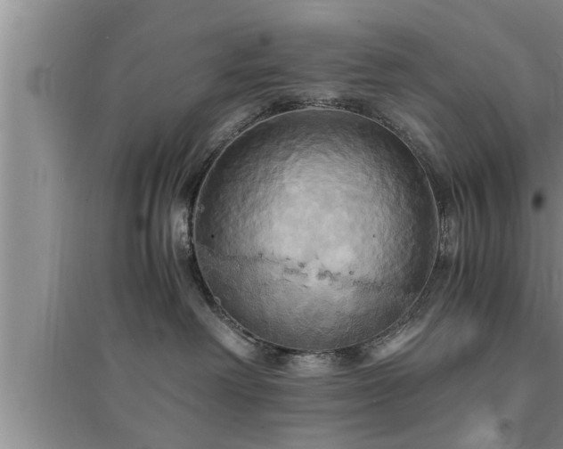 X0000095520238200712211310