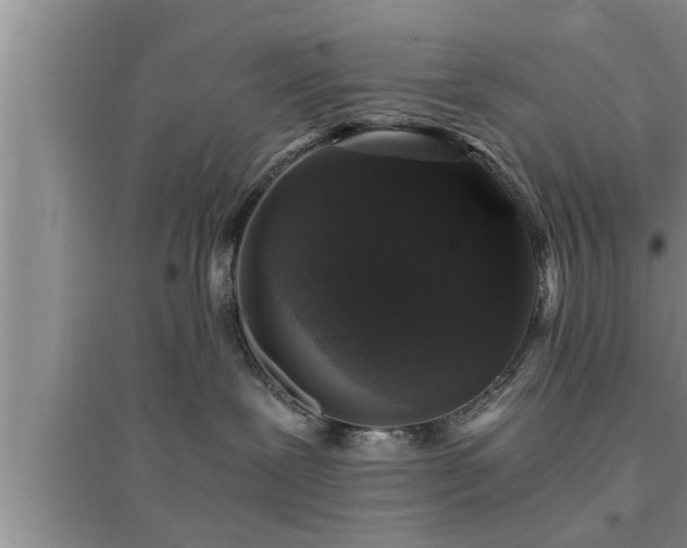 X0000095520239200712211310