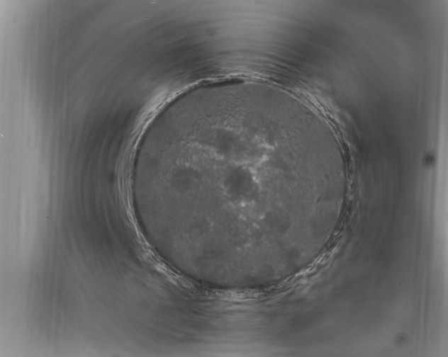 X0000095520241200712211309