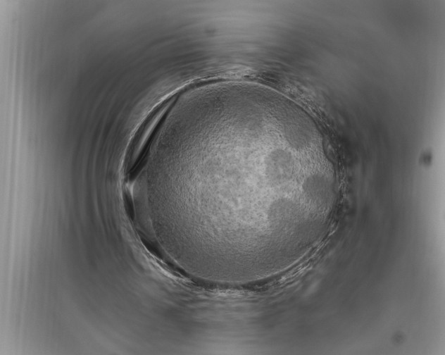 X0000095520242200712211309