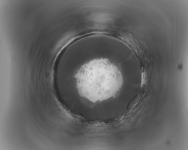 X0000095520243200712211309