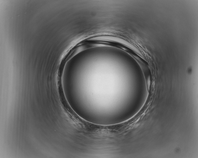 X0000095520244200712211309