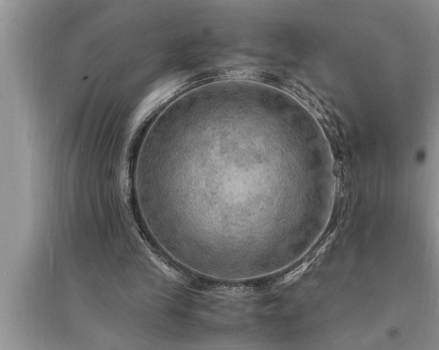 X0000095520245200712211309