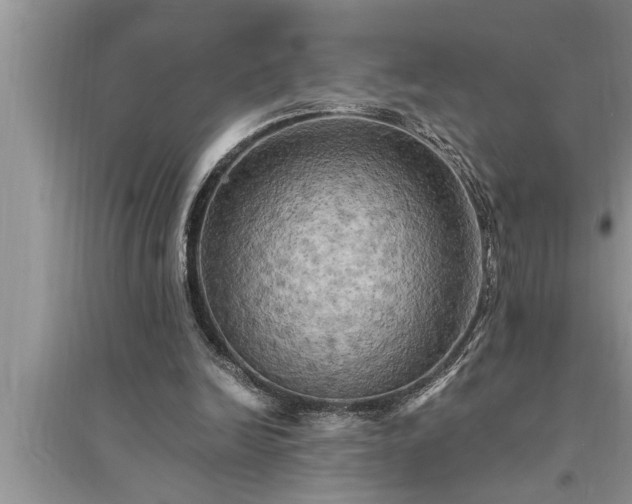 X0000095520246200712211309