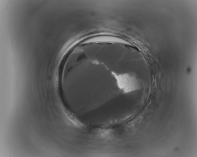 X0000095520247200712211309