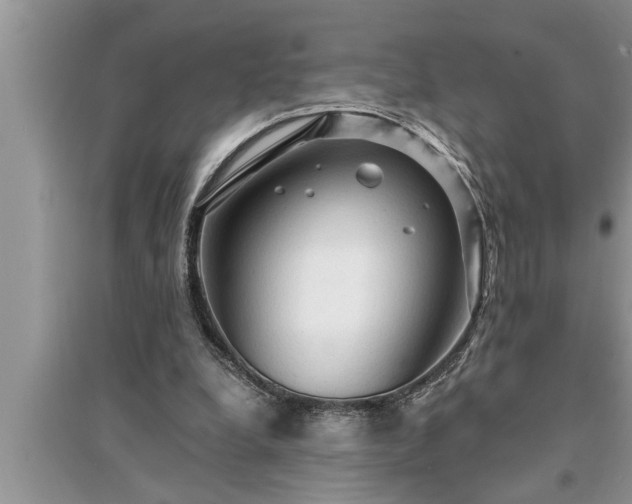 X0000095520248200712211309