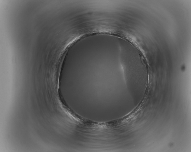 X0000095520249200712211309