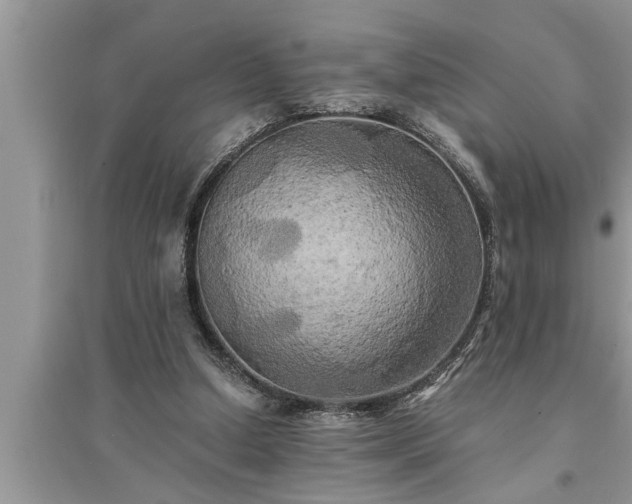 X0000095520250200712211309