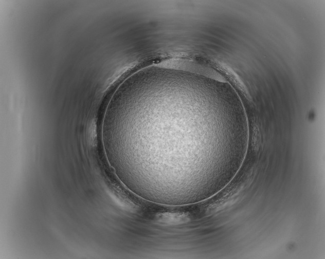 X0000095520251200712211309