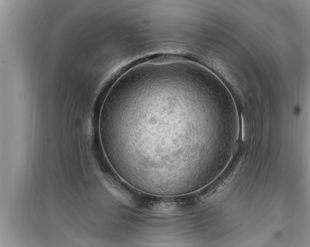 X0000095520252200712211309