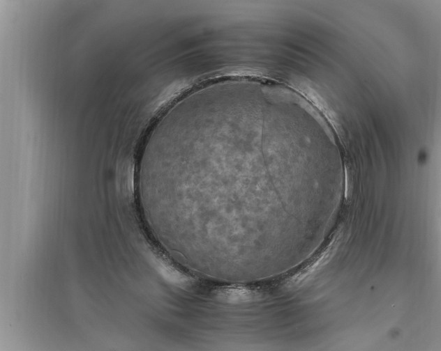 X0000095520253200712211309