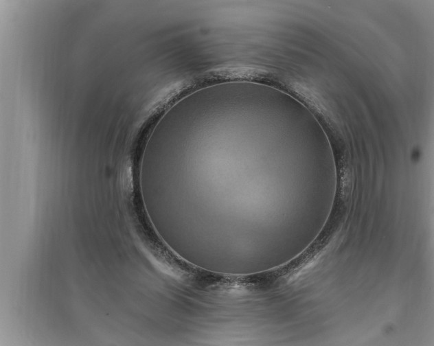 X0000095520254200712211309