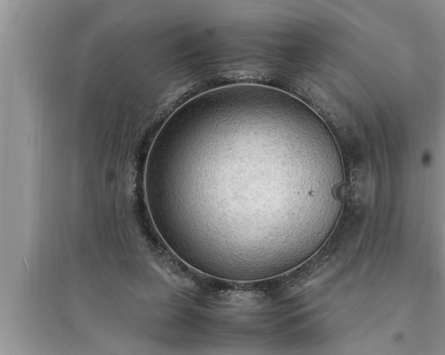 X0000095520255200712211309