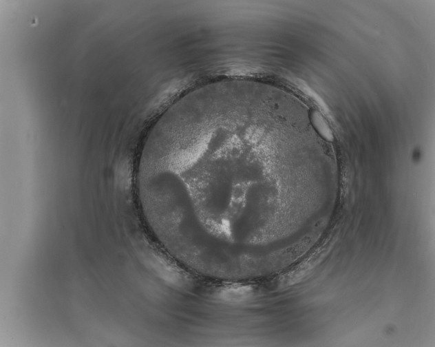 X0000095520257200712211309