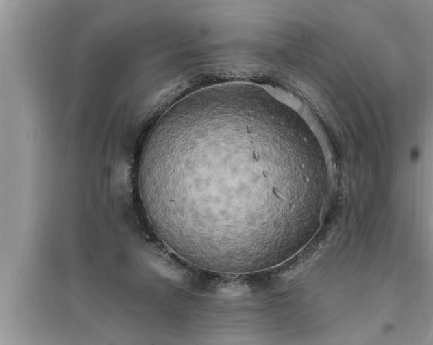 X0000095520258200712211309