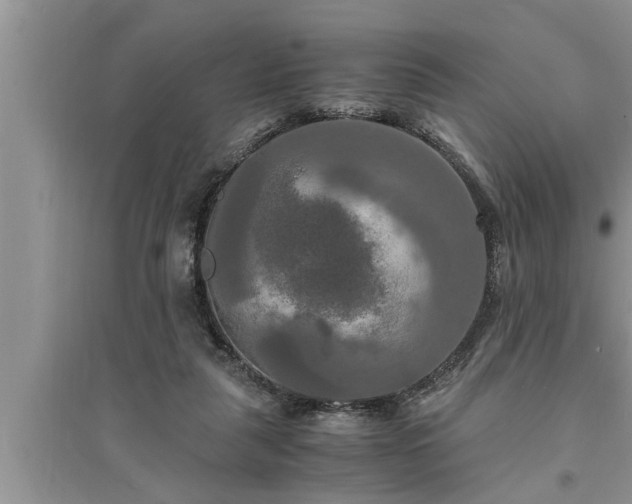 X0000095520259200712211309