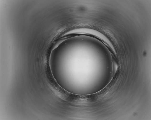 X0000095520260200712211309